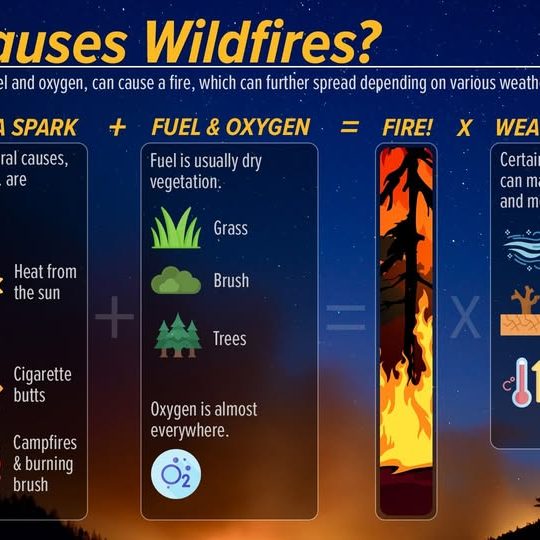 Wildfires